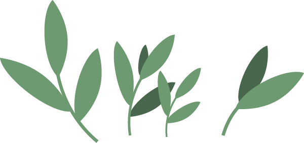 1ED1