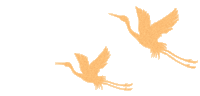 4E2E7